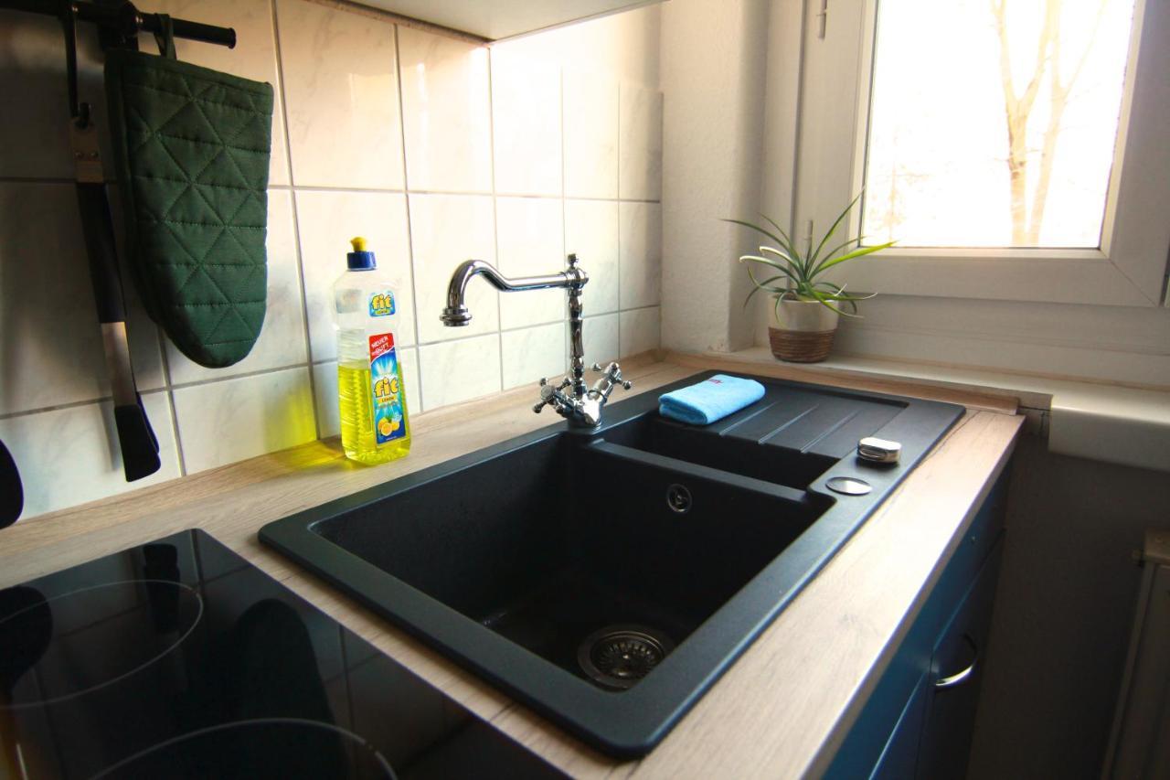 Whg./flat Am Grossen Garten In Drezno