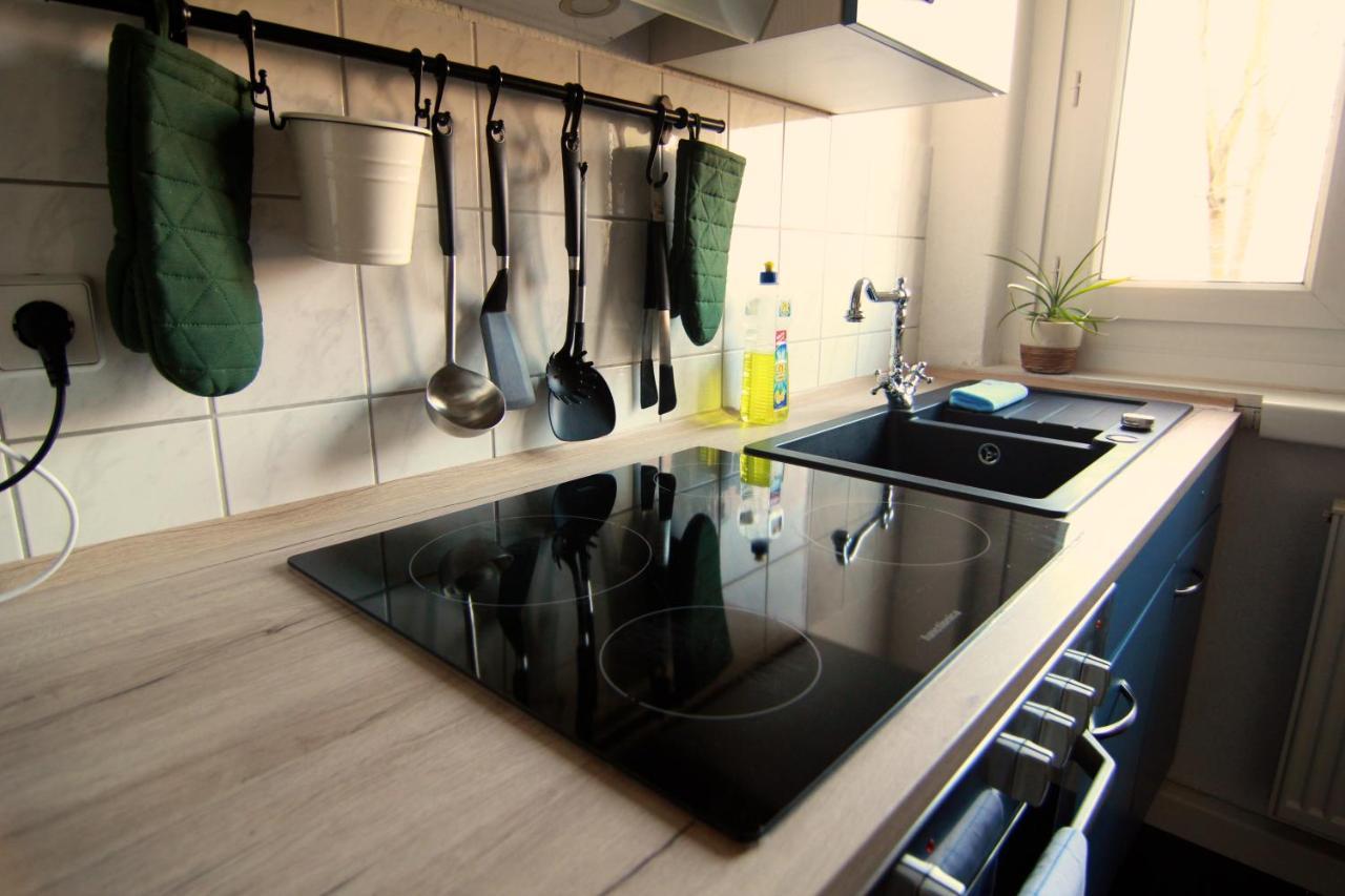Whg./flat Am Grossen Garten In Appartement Dresde
