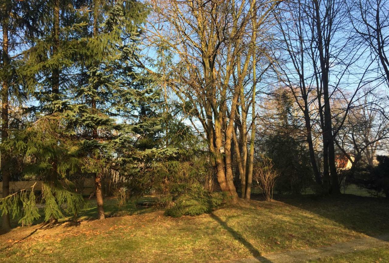 Appartement Whg./flat Am Grossen Garten In *